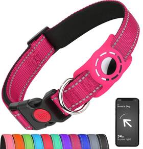 Er-thc114-hp-20-s Erbine Airtag Dog Collar With Holder For Small Dogs Reflective Soft Padded