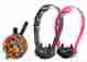 Et-300-l Et-302-l 855092003268 E-collar Technologies Lady Educator Remote 2 Dog Training Collar Video