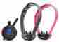 Et-802 E-collar Technologies The Boss Educator 2 Dog 1 Mile Et-802 E-collar Technologies The Boss Educator 2 Dog 1 Mile