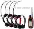 Tt15 Garmin Alpha 100 Mini Gps Glonass 4 Dog Track Train Bundle 753759145897 Tt15 Garmin Alpha 100 Mini Gps Glonass 4 Dog Track Train Bundle 753759145897