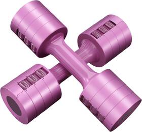 Glaucus 731052709466 Adjustable Weight Dumbbells Set- A Pair 4lb 6lb 8lb 10lb 2lb-5lb Purple
