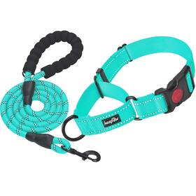 Haapaw 751300086064 2 Packs Martingale Dog Collar With Quick Release Buckle Reflective