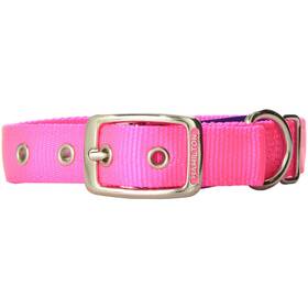 82200232 Hamilton Double Thick Nylon Deluxe Dog Collar 1inch By 20inch Hot Pink 82200232 Hamilton Double Thick Nylon Deluxe Dog Collar 1inch By 20inch Hot Pink