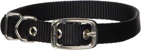 Hamilton St-18bk Single Thick Nylon Buckle Dog Collar For Small And Medium Dogs 5/8 Inch W