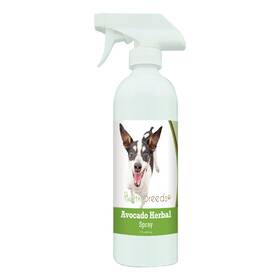 Healthy Breeds 192959079173 Rat Terrier Avocado Spray 17 Oz Healthy Breeds 192959079173 Rat Terrier Avocado Spray 17 Oz