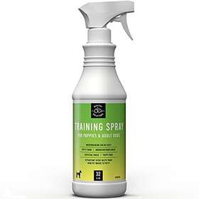 Healthy Solutions For Pets 857258007424 Potty Training Spray Dogs - Dog Pee With Marking Scent Go Here Puppy