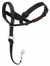 Hh032 The Company Of Animals Halti Head Collar Size 611102118595 Hh032 The Company Of Animals Halti Head Collar Size 611102118595