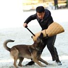 Linfs20082011 Unbranded Police Dogs German