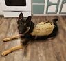 Liv-k9vest Livabit Tactical Police Military Canine Harness Pet Dog Cat Jacket
