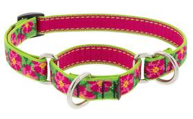 Lupinepet 22232 Lupine Small Martingale Dog Collar 3/4 Inch Wide Petunias Adjusts From 10 To 14