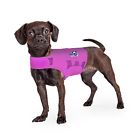 M-radiant Orchard-xs Mellow Shirt Dog Anxiety Calming Wrap Size Small 855656006056 M-radiant Orchard-xs Mellow Shirt Dog Anxiety Calming Wrap Size Small 855656006056