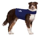 M-xl Mellow Shirt Dog Anxiety 855656006049