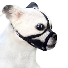 Dm03-bpur Moiilavin Dog Muzzle For Small Dogs Xs Grooming Barking Chewing Barkless Soft Mesh Dm03-bpur Moiilavin Dog Muzzle For Small Dogs Xs Grooming Barking Chewing Barkless Soft Mesh