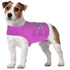 Mradiant Orchardxl Dog Anxiety Calming 855656006094