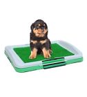 N-a Homax Trainer By Animal For Dog Now Your 600188652543