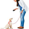 N-a Petzoom Emsco Group Pet Zoom Command Ultimate Dog 0080313092794