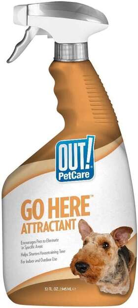 Out 313107483448 Petcare Go Here Attractant Indoor And Outdoor Dog Training Spray 32 Oz