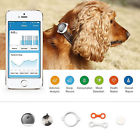 P00073 Pet Life Petkit Fit Smart Activity Monitor P00073 Pet Life Petkit Fit Smart Activity Monitor