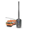 Pathfinder-mini Dogtra Black Pathfinder Mini Gps 644622020710