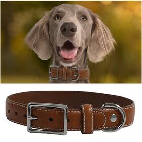 Dcl-0001-m Pcyhiil Genuine Leather Dog Collar Heavy Duty With Sturdy Metal Buckle T Dcl-0001-m Pcyhiil Genuine Leather Dog Collar Heavy Duty With Sturdy Metal Buckle T