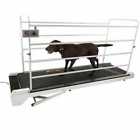Pr730e Gopet Treadmill Giant