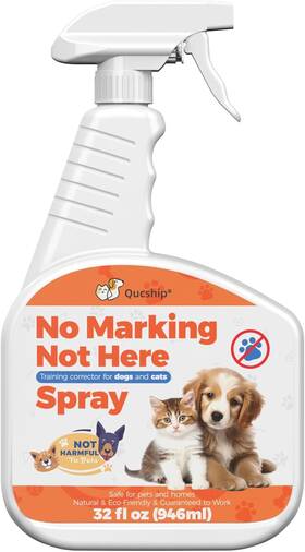 Qucship 313054693686 Dog Stay Away Spray - Not-here For Effective Indoor Training