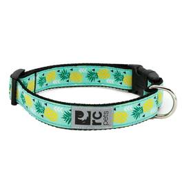Rc Pet Products 53005251 Pets 1 Inch Adjustable Dog Clip Collar Large Pineapple Parade