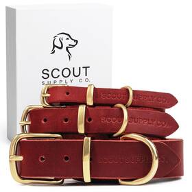 Scout Supply Co. 826710912323 Classic Genuine Leather Dog Collar Collars For Medium Dogs Small