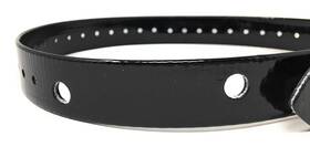 Sparky Pet Co 647369520505 1 Inch Heavy Duty Astro Dc40 Replacement Collar Compatible Strap