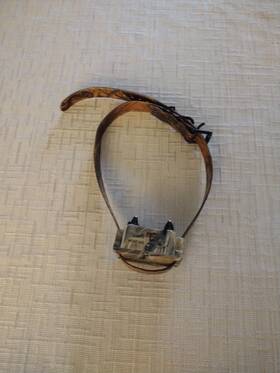 Sportdog Fr-200-200bw Add A Collar Receiver Extra Dog For Sd-400-400s Only Camo