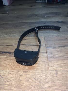 Sportdog Sbc54-16837 Sport Dog Bark Collar
