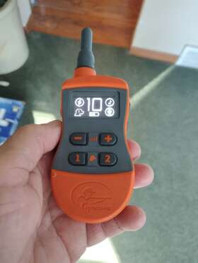 Sdt54-16516 Sportdog Remote Control Dog Transmitter
