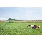 Stt-twf Tether Tug Dog Toy 851595003620