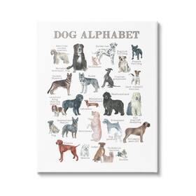 Stupell Industries 197081031402 Dog Alphabet Multiple Breeds Educational Animals Chart Design By Dishique