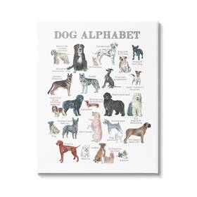Stupell Industries 197081031419 Dog Alphabet Multiple Breeds Educational Animals Chart Design By Dishique
