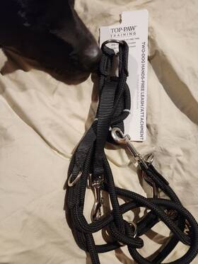 Top Paw 196481020979 Training Walk 2 Dogs At One Time Hands Free Leash Top Paw 196481020979 Training Walk 2 Dogs At One Time Hands Free Leash