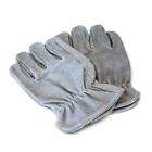 Tr-232-025 Perfect Dog Training Gloves Not Applicable Pet Supplies 096064014619 Tr-232-025 Perfect Dog Training Gloves Not Applicable Pet Supplies 096064014619