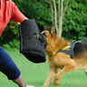 Unbranded Dog Bite Arm Sleeve Black Young Dogs Police German Unbranded Dog Bite Arm Sleeve Black Young Dogs Police German