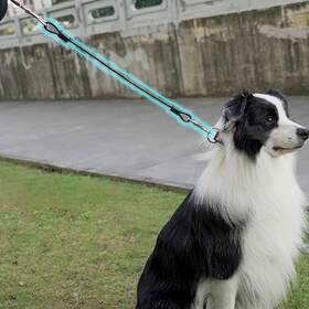 Dcpr-1 Wybxzxy Chew Proof Dog Leashes Extension Metal Non-tangle Connect Leash For Any Leas Dcpr-1 Wybxzxy Chew Proof Dog Leashes Extension Metal Non-tangle Connect Leash For Any Leas