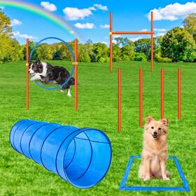 Xiaz 764046612022 Dog Agility Course Backyard Set 90cm 5 Pcs Orange/blue