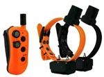 Dt Systems Upland R.a.p.t. With Beeper 2 Dog Combo RAPT1450. Fixed Price $449.98.