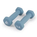 Lionscool Pair Of Anti-roll Dumbbells Neoprene Coated Hand Weights.... Fixed Price $25.90.