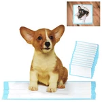 12PC Puppy Training Dog Pet Pee Housebreaking Underpads 22.4". Fixed Price $12.80.