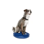 Fitpaws Dog Balance Disc 14" Blue Exercise Workout Tool Strength Core. Fixed Price $70.52.