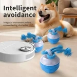 Smart Rolling Dog Toy Ball Motion Activated Puppy Training. Fixed Price $31.99.