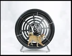 Treadwheel Exercise Small Dogs Up To 25 Pounds. Fixed Price $575.00.