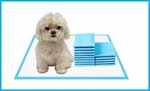 Go Gracie Leak-proof Dog And Puppy Potty Training Pee Pads With Quick-dry .... Fixed Price $21.26.