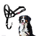 Company Of Animals Halti Head Collar Size 5 Black. Fixed Price $26.41.