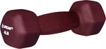 Lifeline Fitness Neoprene Dumbbell Weights - Premium Quality Equipment For Home. Fixed Price $18.93.