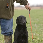 Avery Sporting Dog Greenhead Gear Trainer's Heeling Stick Blaze Orange Bumper. Fixed Price $18.04.